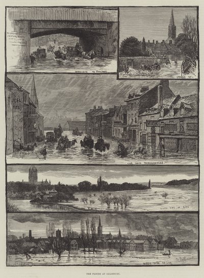 The Floods at Salisbury by Walter Bothams
